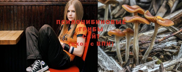 синтетический гашиш Арсеньев