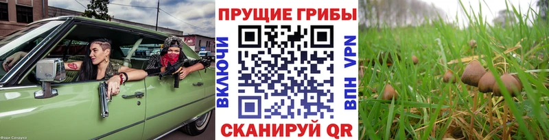 Галлюциногенные грибы мухоморы  Барабинск 