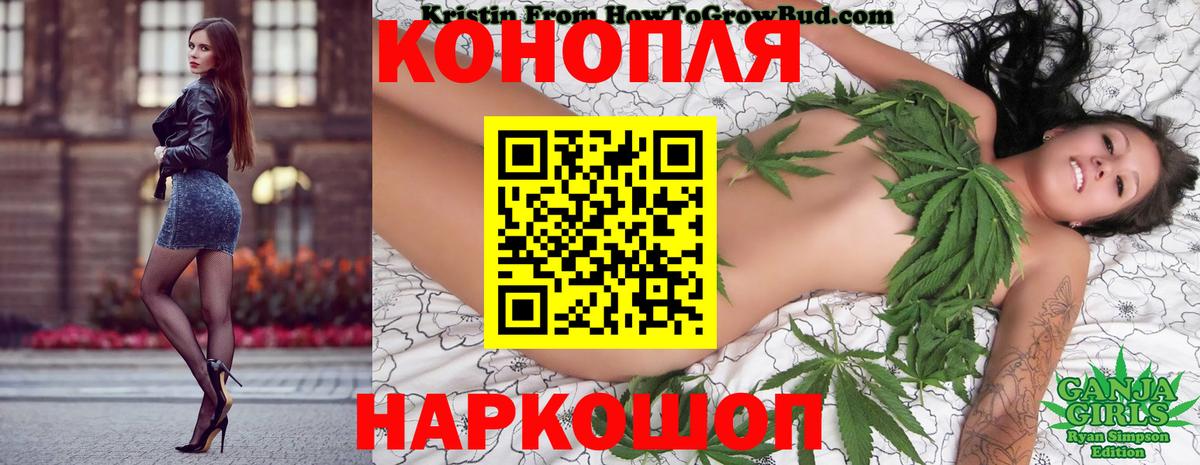 Конопля гибрид Барабинск